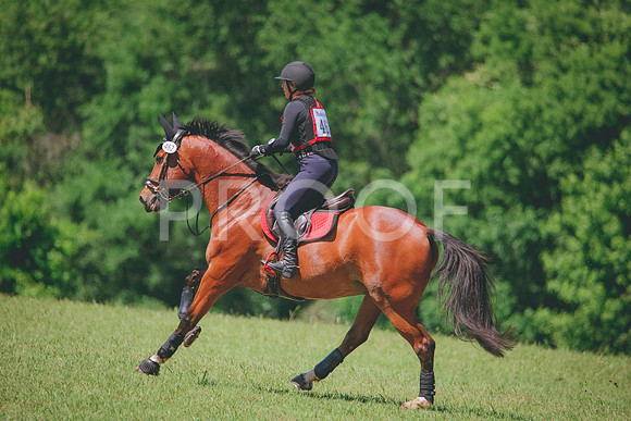 RWP_7487