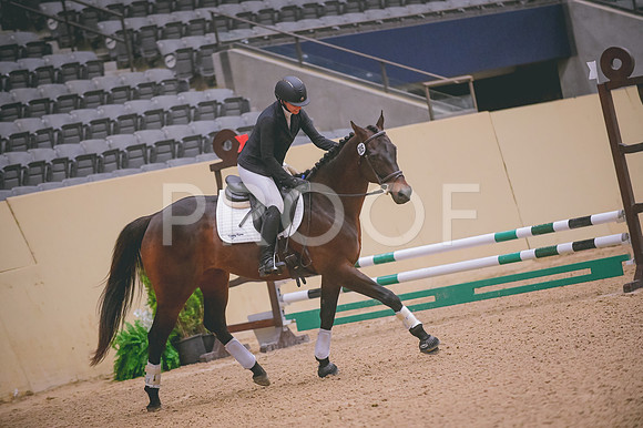 DSC_0107