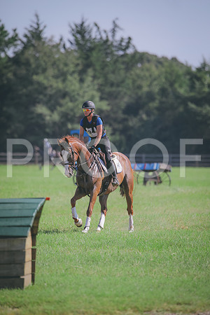 RWP_6368