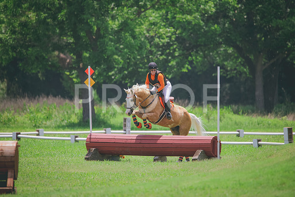 RWP_3905