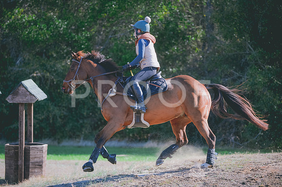 JJS_0625