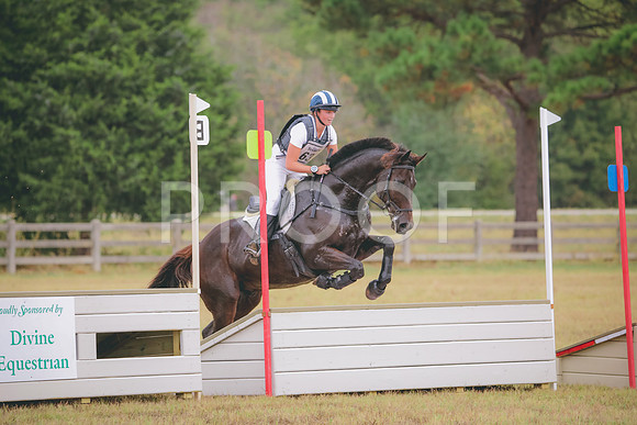 RWP_2985
