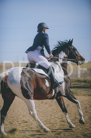 JJS_3196