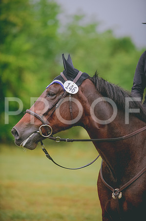 JJS_4993A