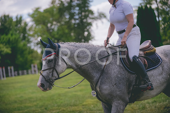 JJS_1531