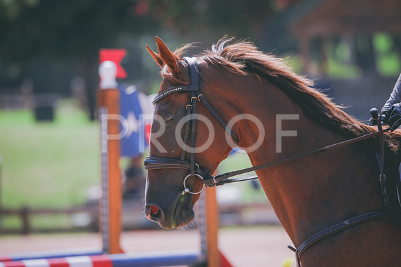 RWP_5068