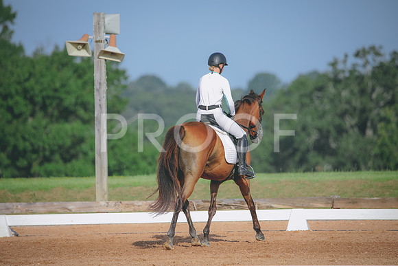 RWP_4471