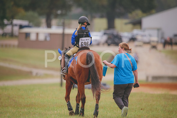 RWP_3687