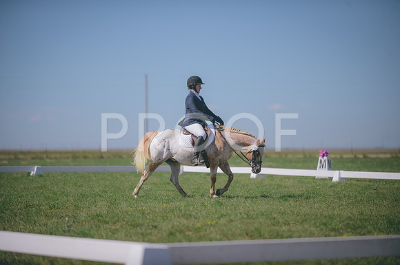 JJS_2659