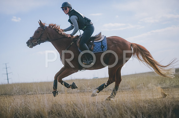 JJS_0843