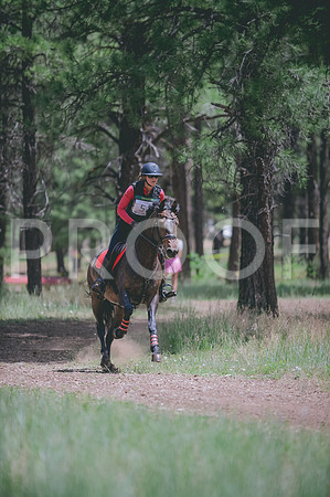 JJS_1794A