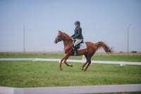 JJS_0540