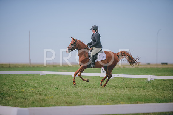 JJS_0540