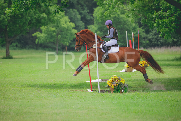RWP_2695