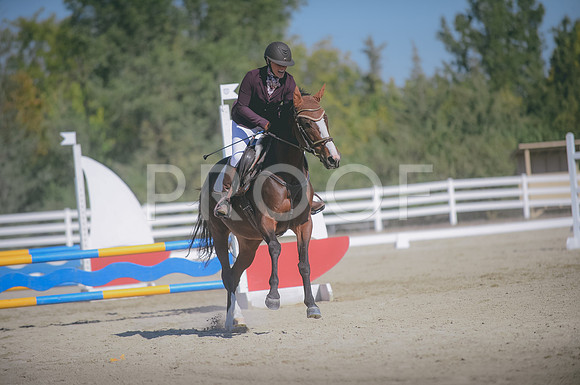 JJS_0674