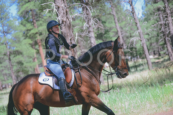 JJS_2261