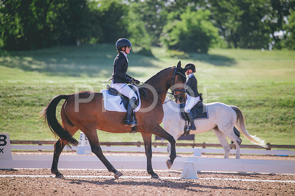 RWP_9249