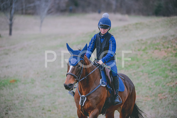 JJS_2177