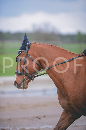 JJS_1615