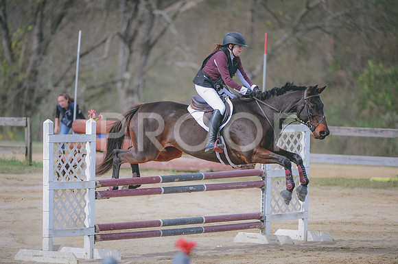 JJS_0245