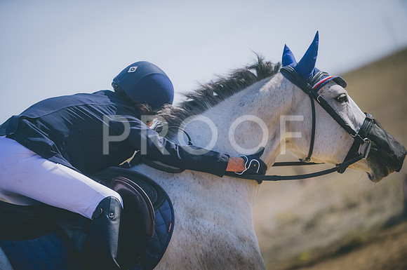 JJS_3980