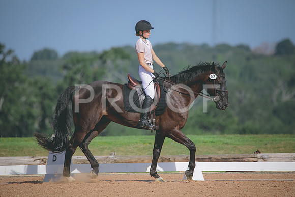 RWP_4637