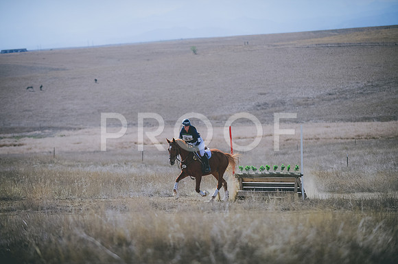 JJS_0253