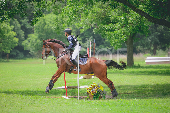 RWP_2616