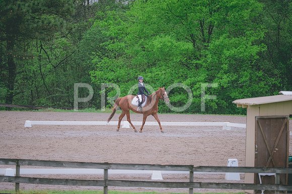 JJS_3128