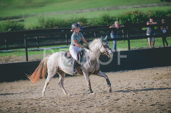 JJS_8136A