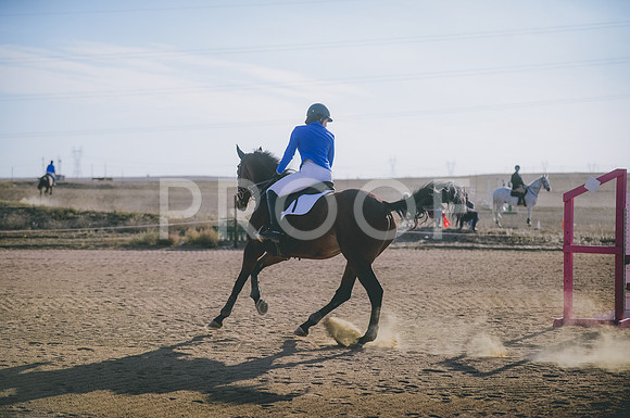 JJS_7931