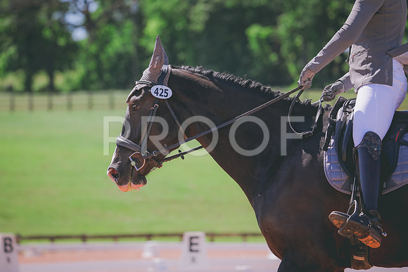 RWP_0010