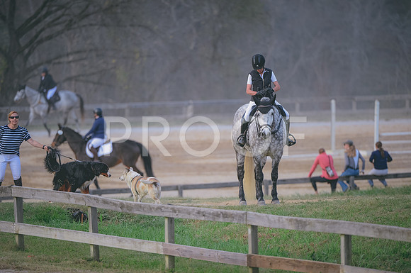 JJS_1618