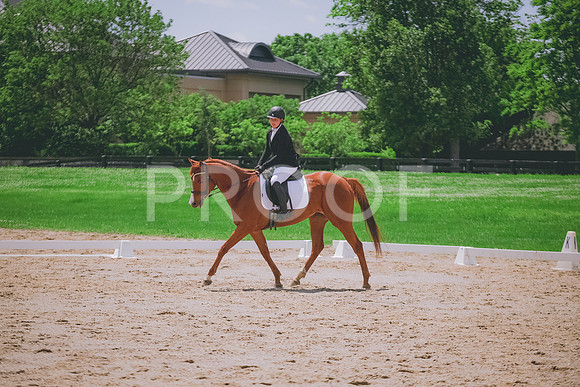 2E8A7666