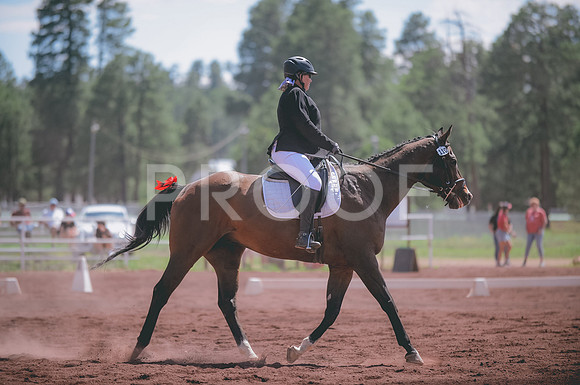 JJS_1539