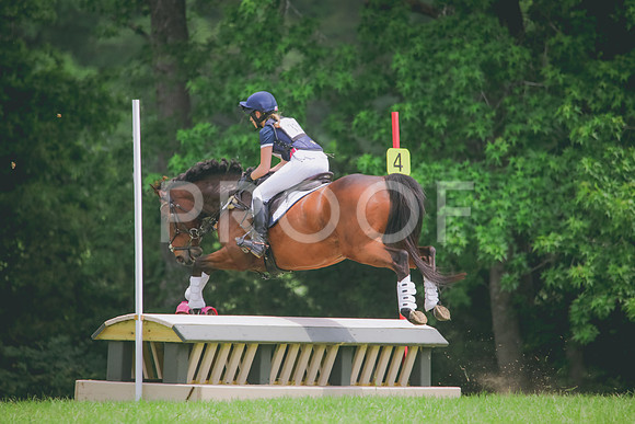 RWP_4866
