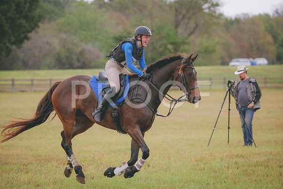 RWP_2708