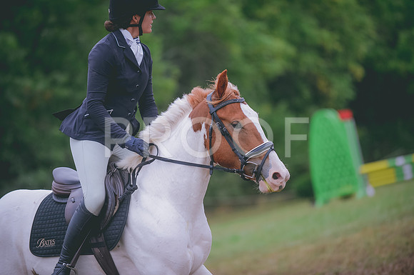 JJS_0395