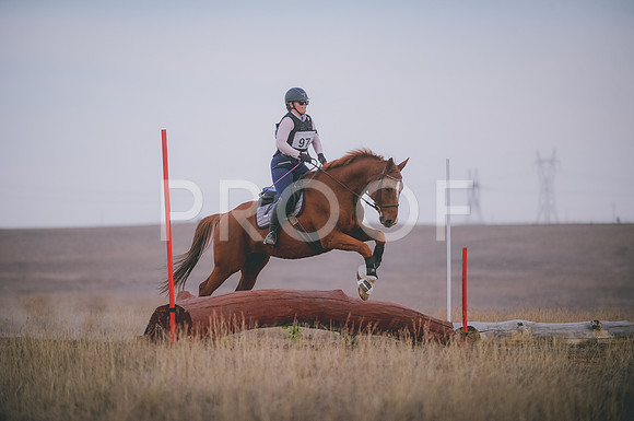 JJS_6147