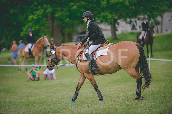 JJS_0989