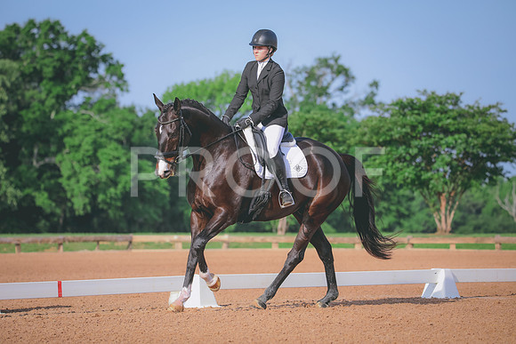 RWP_3799