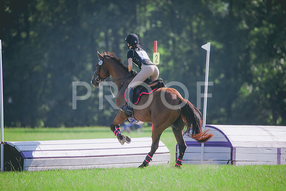 RWP_6272