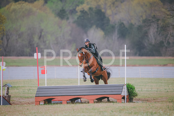 RWP_8522