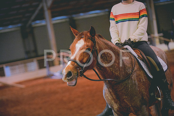 JJS_2870