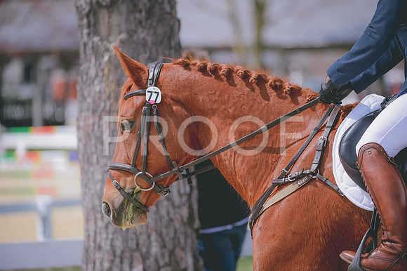 JJS_4319