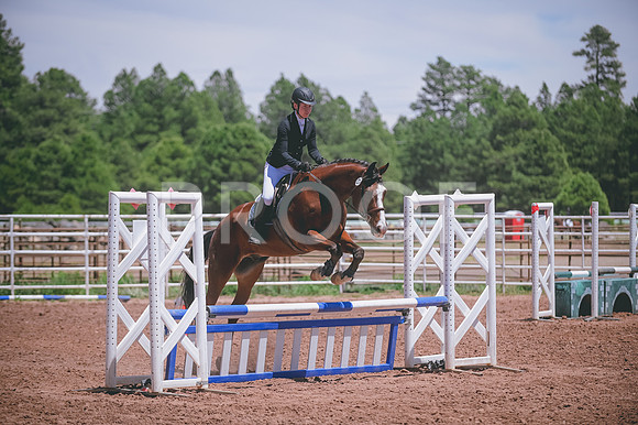 DSC_4419