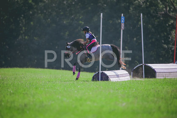 RWP_6428