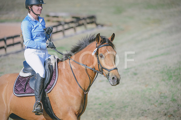 JJS_0674