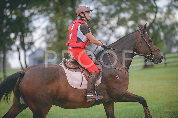 JJS_2137