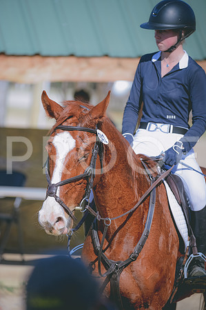 JJS_7531
